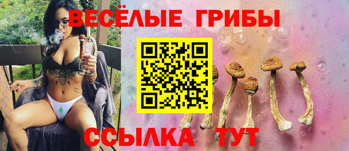 Галлюциногенные грибы MAGIC MUSHROOMS Кубинка